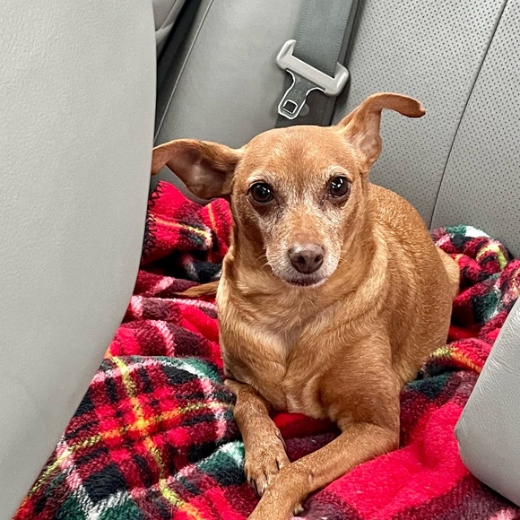 Meet your Posher, Stephanie - Picture 5 of 8